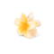 Plumeria Hawaii Big hårklemme i lysegul – stor hårklemme med blomstret design, perfekt til langt eller kraftigt hår.