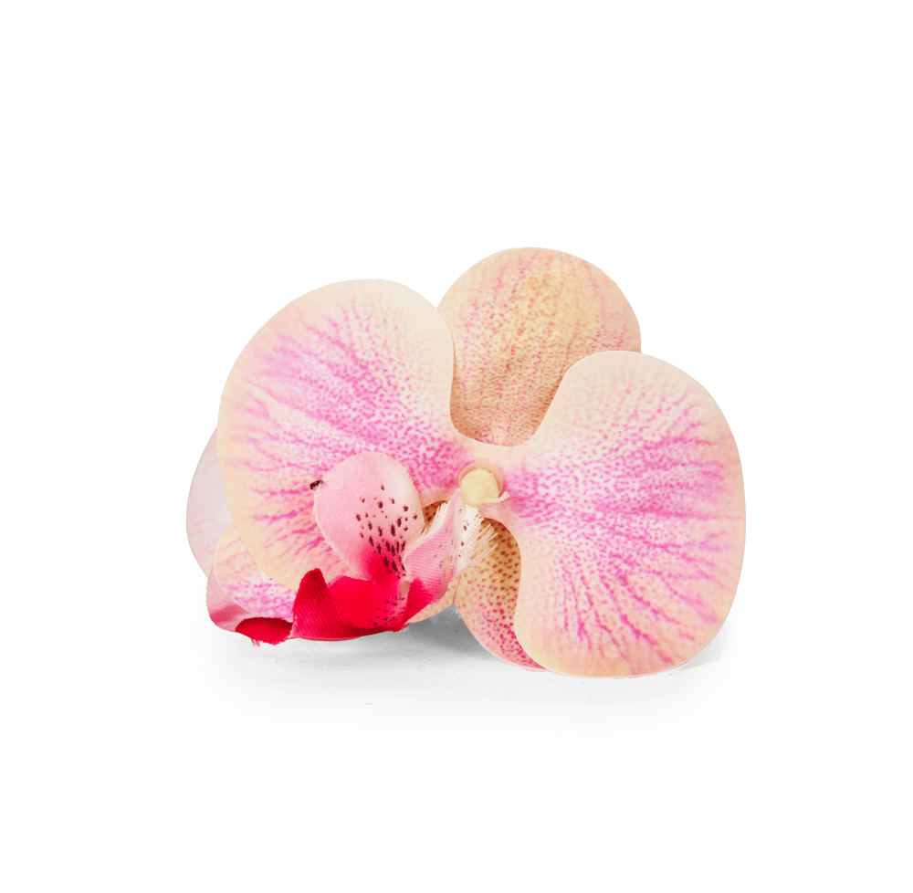 Orchid Middle i pink er en mellemstor hårklemme inspireret af orkidéens smukke former. Perfekt til at holde håret sikkert på plads og tilføje et naturligt touch.