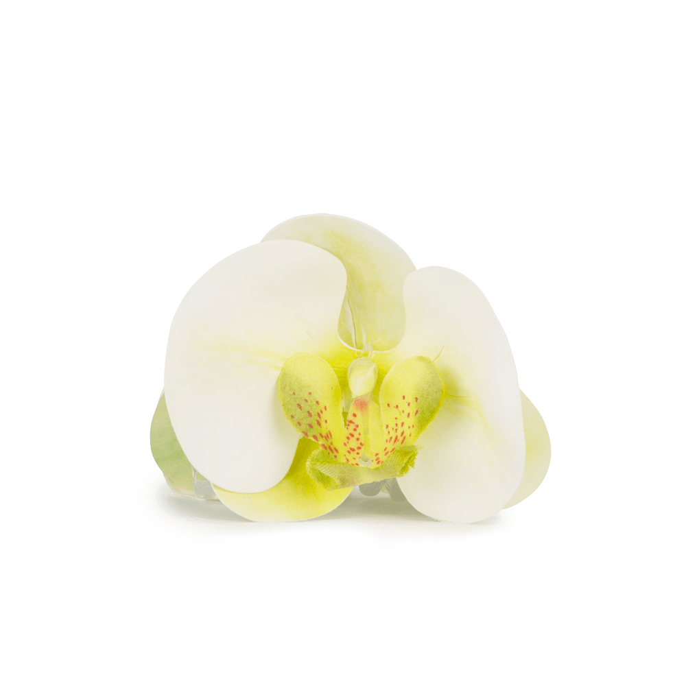 Orchid Middle i grøn fra SUI AVA er en elegant hårklemme inspireret af orkidéens former. Tilføjer et naturligt og stilfuldt touch til din frisure.