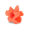 Plumeria Bella Big – orange hårklemme med blomstermotiv og elegant design.
