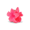 Plumeria Bella Mini – pink hårklemme med elegant blomsterdesign og stærkt greb.