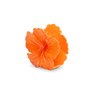 Stor orange hårklemme formet som en blomst - Hawaii Flower Big fra SUI AVA