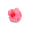 Stor pink hårklemme i form af en hibiscusblomst - Hawaii Flower Big fra SUI AVA