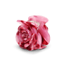 Hårklemme formet som en rose i pink marmor – Rosie Pink Marble Mini fra SUI AVA