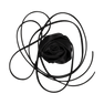 Sort satinrose med lange bånd – La Mia Rosa