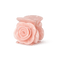 Rosie Mini hårklemme i pink – lille hårklemme formet som en rose, ideel til fint hår eller små sektioner. Elegant og dekorativt design.